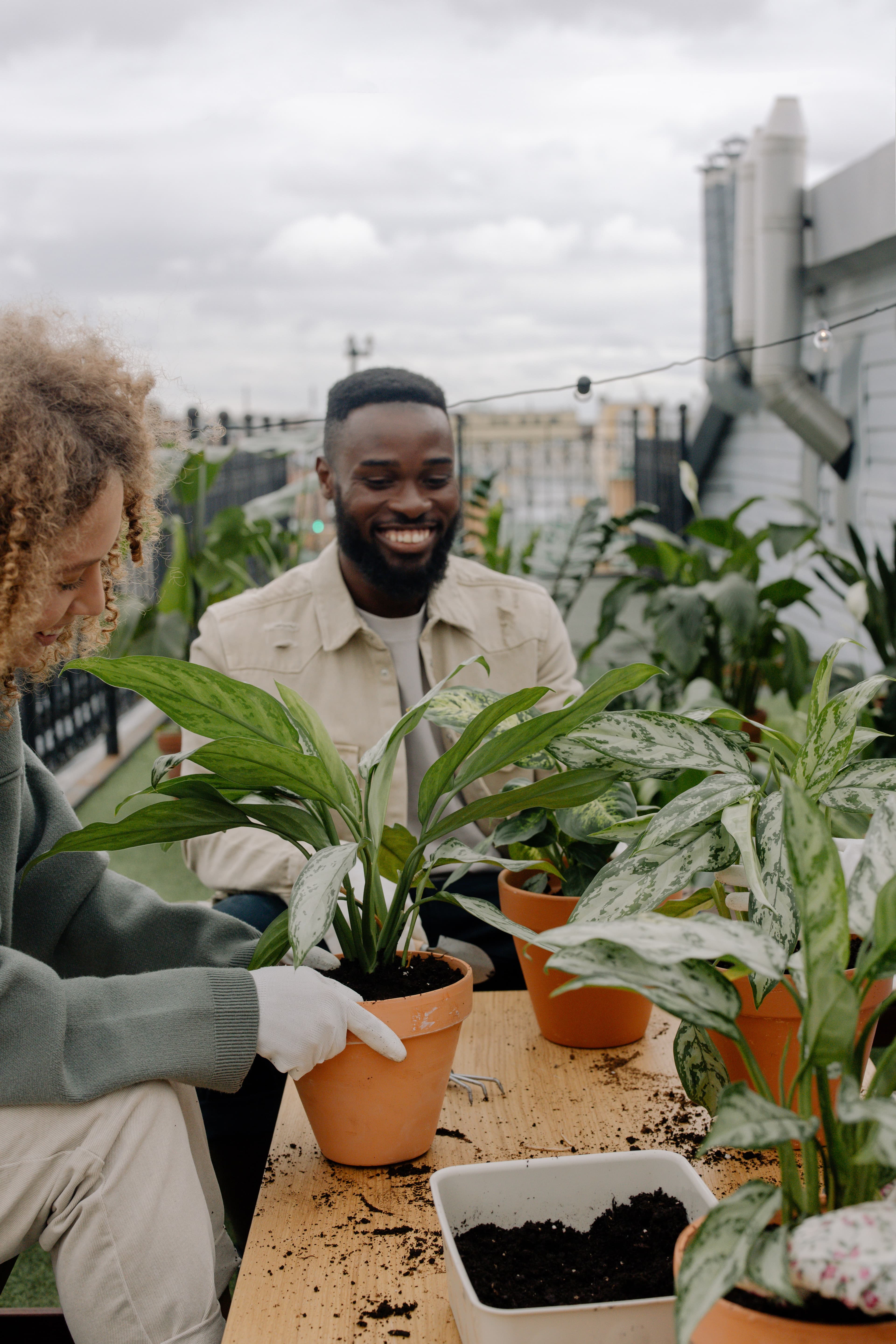 man gardening with his neighbor